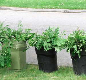 yard waste in garbage cans on the curb